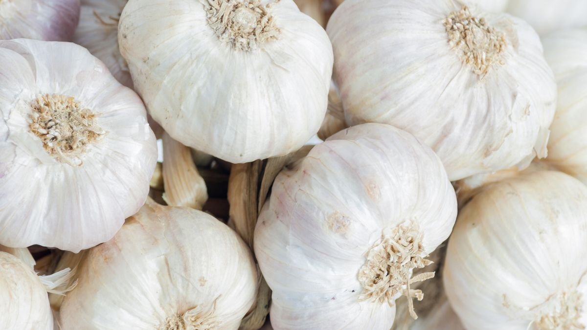 Jak odróżnić polski czosnek od chińskiego?