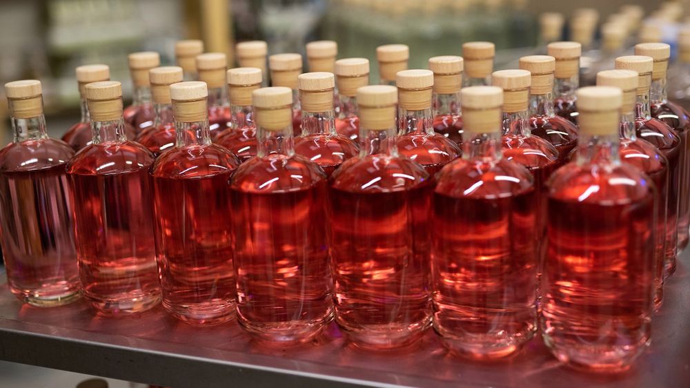 Czy alkohol zwiększa ryzyko raka jelita grubego?