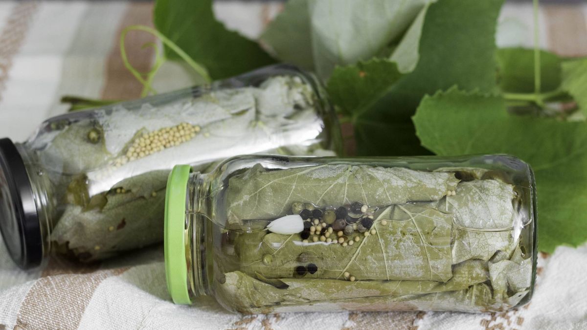 Kiszone liście winogron