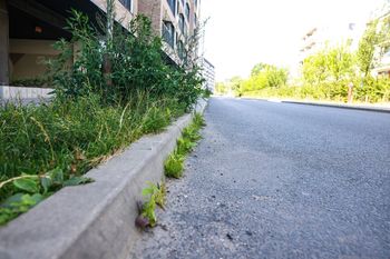 Poznań: Ulica widmo na Jeżycach w końcu zostanie odebrana? Deweloper się tłumaczy i zrzuca winę na sąsiednie inwestycje