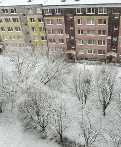 Śnieżna burza nad Polską. "Rzadkie i niebezpieczne zjawisko"