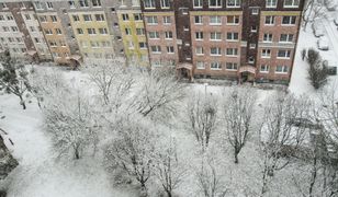 Śnieżna burza nad Polską. "Rzadkie i niebezpieczne zjawisko"