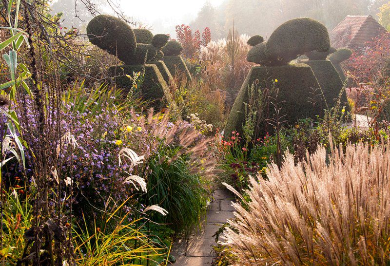 Magdalena Wasiczek z nagrodą Grand Prix konkursu International Garden Photographer of the Year 2015 2