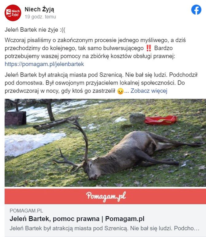 Niech Żyją! zgłosi zastrzelenie Bartka do prokuratury