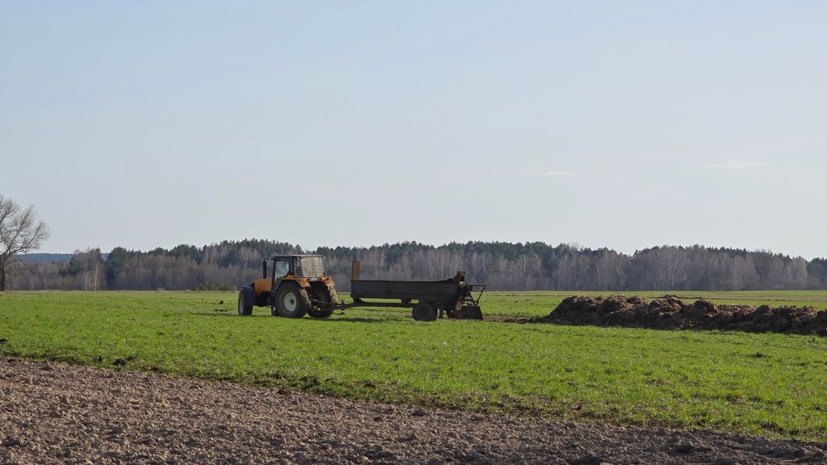 obornik, traktor, rolnik, rolnictwo, pole, wioska, wczesna, wiosna, naworzenie