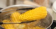 Letni przysmak. Co warto wiedzieć o kukurydzy?