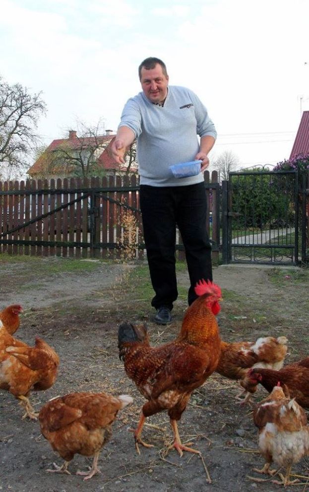 Obraz