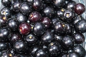 Polacy boją się, że są trujące. Broń przeciwko cukrzycy, nowotworom, stanom zapalnym wątroby