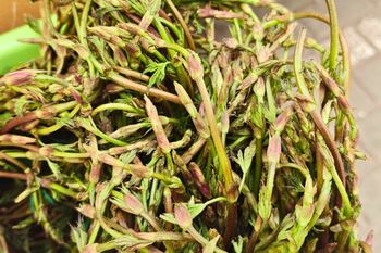 To ostatni moment, aby zjeść je w tym roku. Wypatruj ich na spacerze albo na targu.