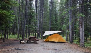 Wakacje 2020. Polacy kupują sprzęt i rezerwują miejsca na kempingach