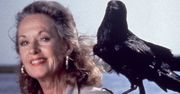 Tippi Hedren. Od blondynki Hitchcocka do ikony #metoo