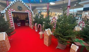 Magia świąt w Centrum Janki