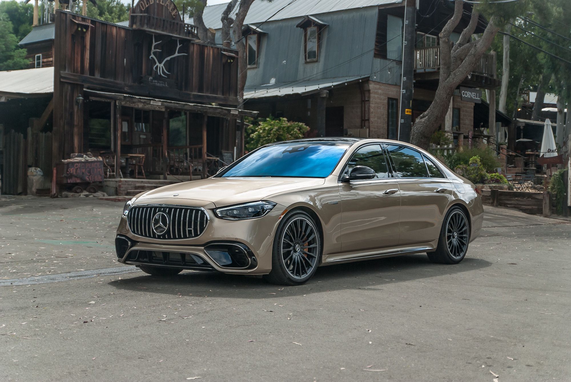 Mercedes-AMG S63 E Performance