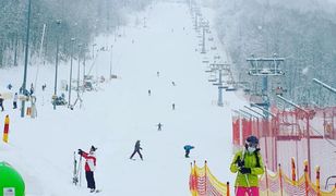 Śląskie. Narciarze na stokach w Wiśle. Kolejek nie było, lekki korek na drodze