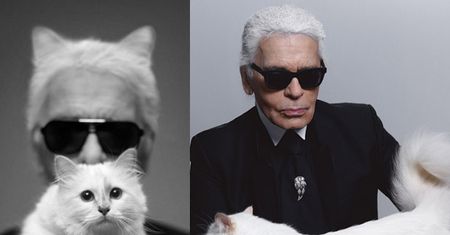 Karl Lagerfeld: "CHCĘ SIĘ OŻENIĆ Z MOJĄ KOTKĄ!"