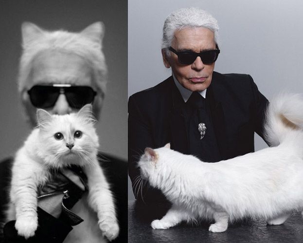 Karl Lagerfeld: "CHCĘ SIĘ OŻENIĆ Z MOJĄ KOTKĄ!"