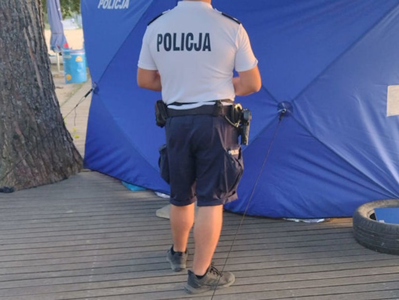 Fot. Licencjodawca