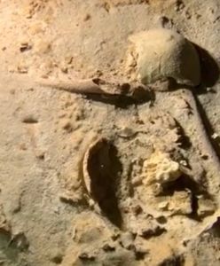 Odkrycie z epoki lodowcowej. Leżał w jaskini osiem tysięcy lat