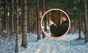 Znaki na drzewach w lasach. Właśnie się pojawiają. Leśnicy tłumaczą