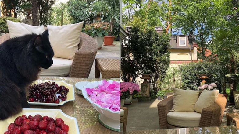 Tak mieszka Maryla Rodowicz