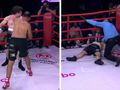 48-letnia legenda MMA vs. kulturysta. To musiało się źle skończyć