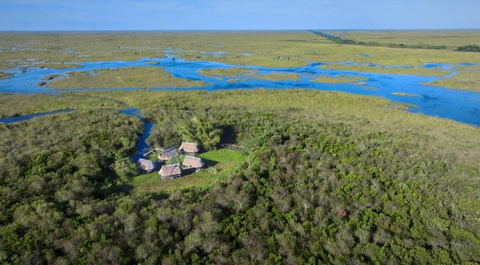 Królestwo mokradeł