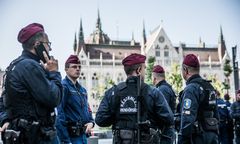 Brat króla mafii wnuczkowskiej zatrzymany. Ukrywał się na Węgrzech