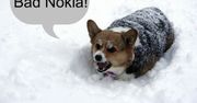 Nokia z Windows Phone - psy szczekają, karawana jedzie dalej