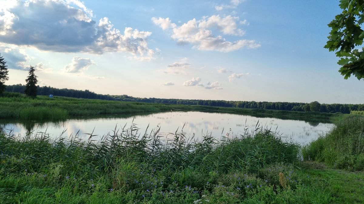 Andrzej Gąsiorowski