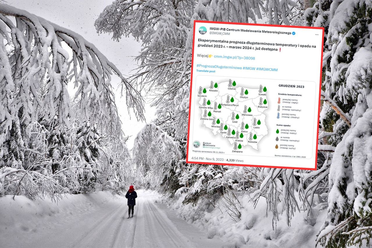 Pogoda na zimę. IMGW przedstawił eksperymentalne prognozy