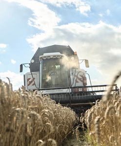 Kombajny wracają z pól. Żniwa niedosytu dobiegają końca