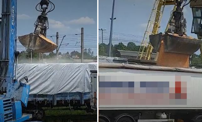 Rolnicy robią zdjęcia na granicy. Tak ukraińskie zboże wciąż wjeżdża do Polski