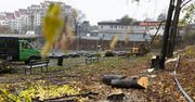 Kraków: Wielka wycinka drzew przy stacji kolejowej w Bronowicach. Już szykują się do budowy węzła i parkingu?