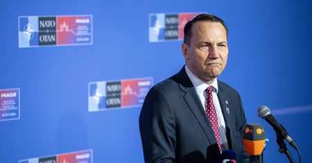 Sondaż. Nowe stanowisko dla Sikorskiego?