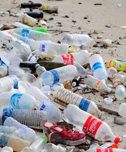 Ponad 90 proc. plastiku nigdy nie trafiło do recyklingu. Według Brytyjczyków to "statystyka roku"
