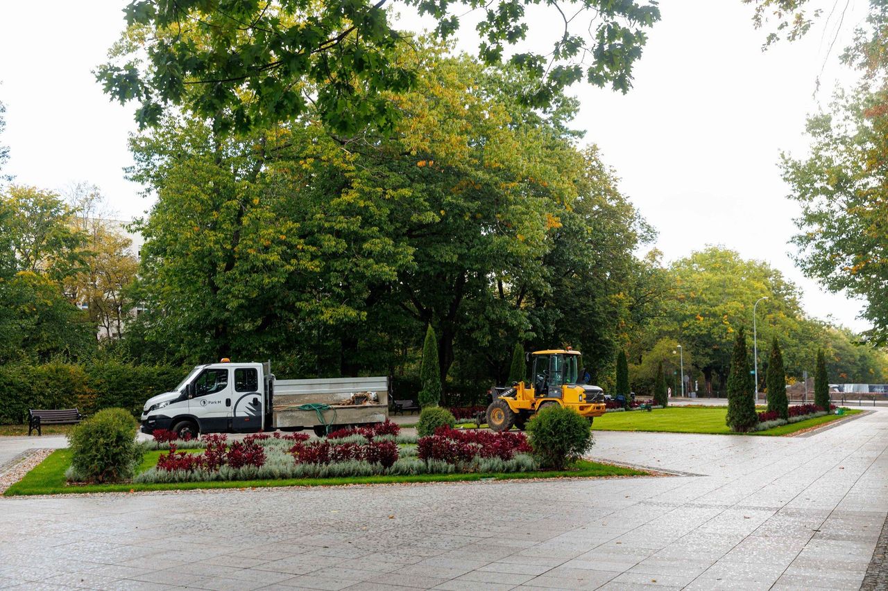 Białystok: Suche tuje na Plantach są właśnie wymieniane. Kolejny już raz