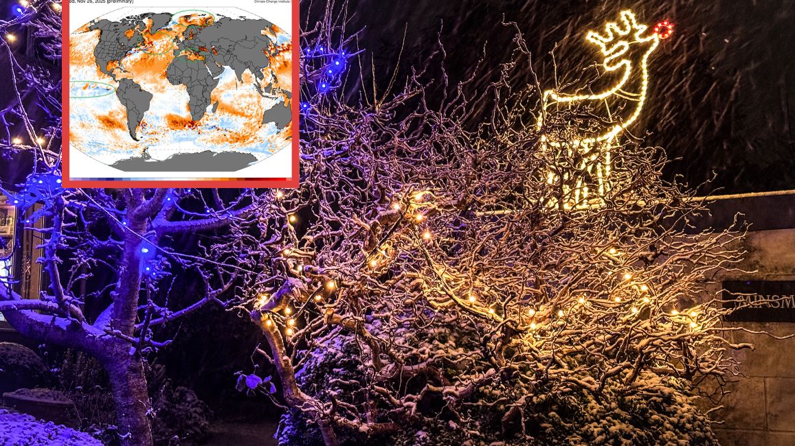  Prognoza pogody na grudzień. Czy święta będą białe?