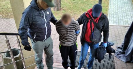 Wysłał dwuznaczne SMS-y do 9-latki. Matka przechytrzyła pedofila
