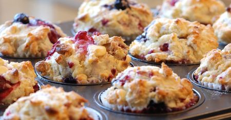 Muffinki jagodowe w proszku
