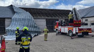 Lubelskie: gwałtowny wiatr i burze. Setki interwencji strażaków, jedna osoba poszkodowana