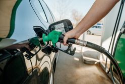 UOKiK zabiera głos w sprawie podwyżek cen paliw. Oto winowajcy drożyzny
