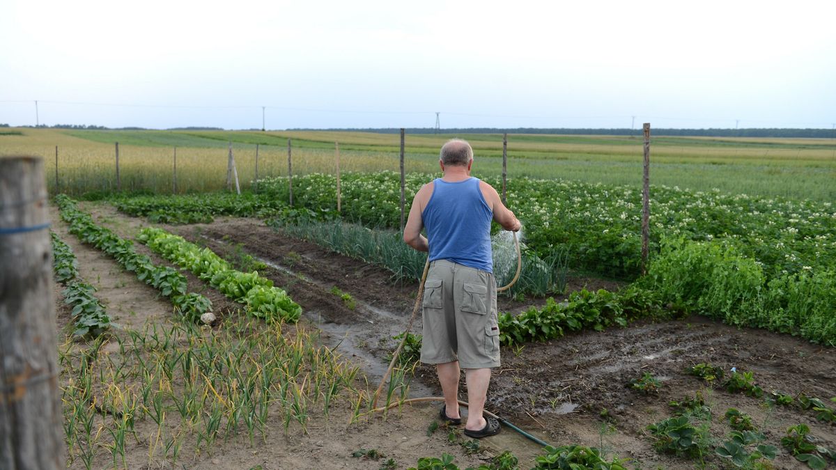 Wiosna dała się rolnikom we znaki