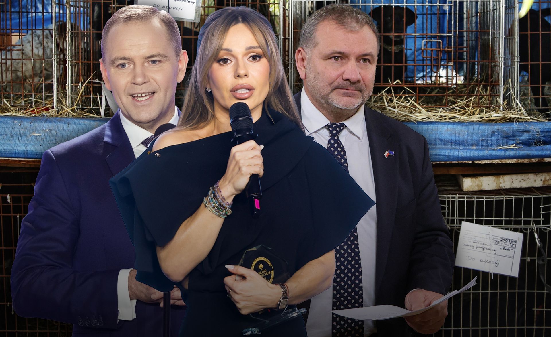 wiadomości,aktualności,WP Wiadomości Celebrycki model polityki [OPINIA]
