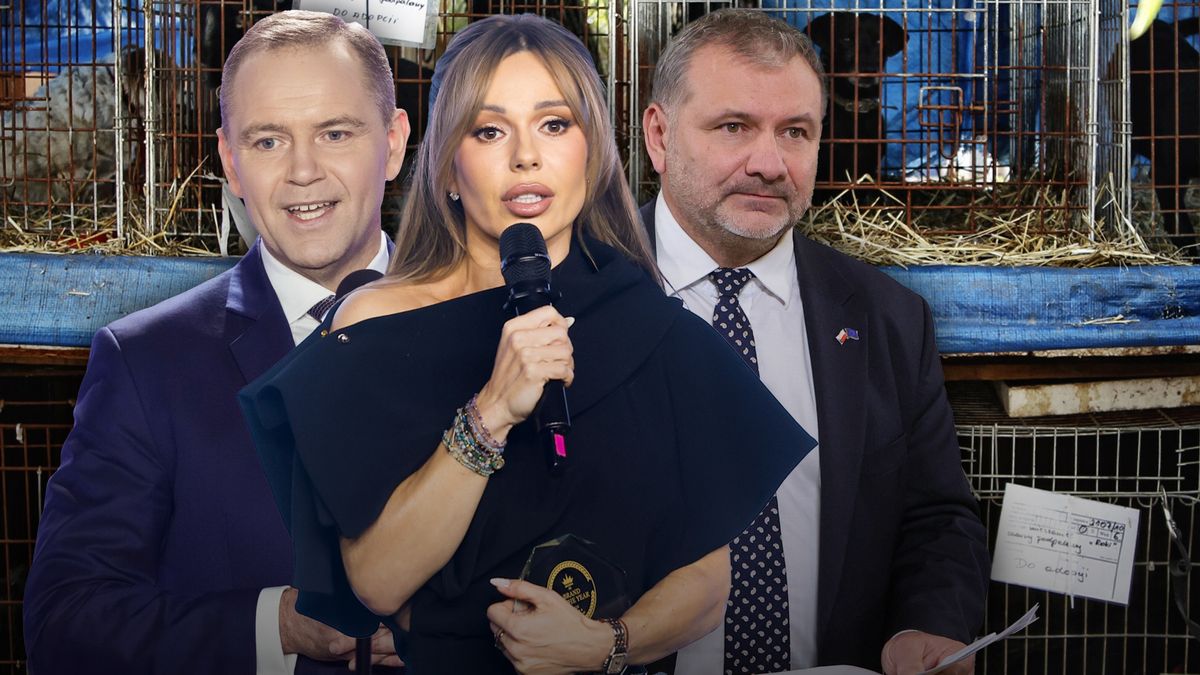   Doda spotkała się w sprawie schronisk z ministrem sprawiedliwości i prezydentem