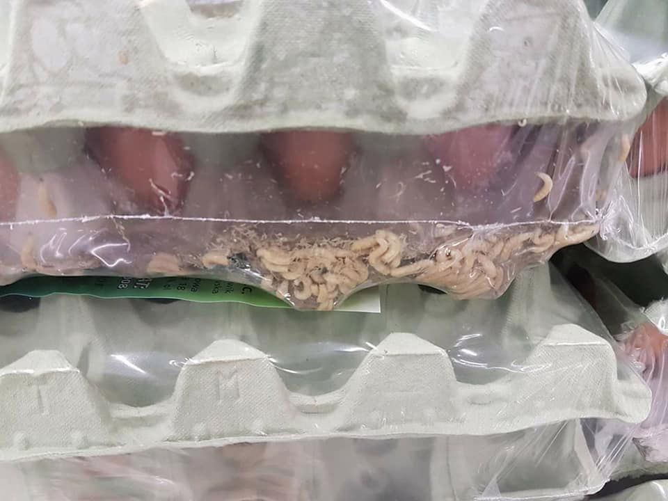Jaja z larwami na półkach. Kontrola sanepidu w Leclercu