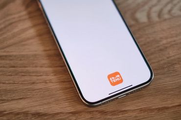 Temu króluje reklamowo w internecie