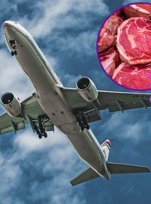 Will we fly on animal fat? It "only" takes 9,000 dead pigs to travel to New York