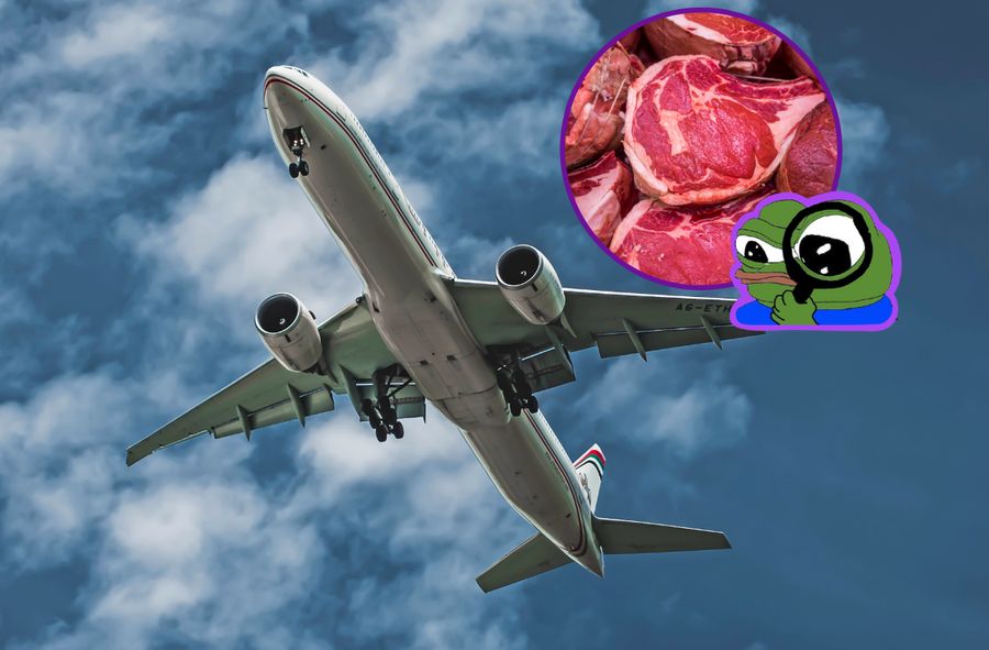 Will we fly on animal fat? It "only" takes 9,000 dead pigs to travel to New York