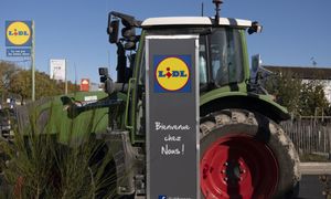 Niemieccy rolnicy mają dość. Protestują pod Lidlami