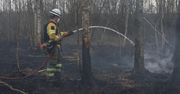 Leśnicy ostrzegają. "Stan rzeczy jest alarmujący"